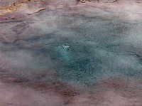 Yellowstone Norris Geyser (36).JPG